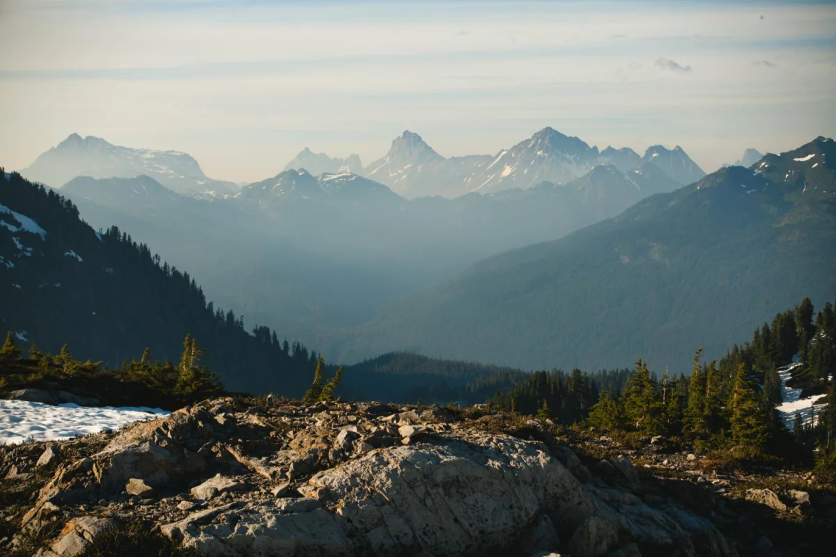 Sprawdź jak możesz złożyć sprawozdanie BDO