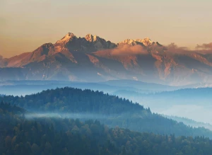 Krok Po Kroku Instrukcja Aby leczyć dzieci