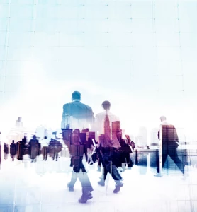 podlewać? Tak czy nie?