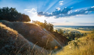 Trinn for Trinn Instruksjoner for å kjøpe Høydejusterbare skrivebord