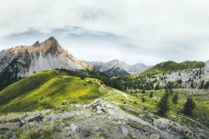 Czy w 2020 dasz radę zabrać się za protetykę?