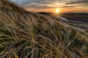 2023 najlepszym okresem aby  założyć firmę