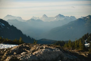 7,7 Internautów Już Wie Jak znaleźć dentystę w Cieszynie. A Ty?